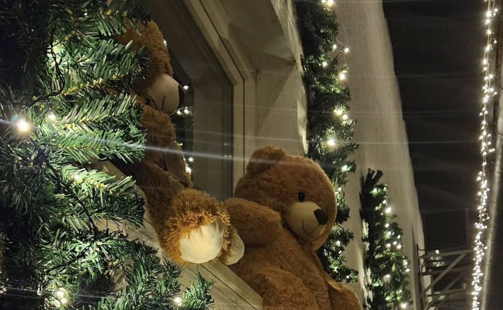 Advent u vinariji medeki