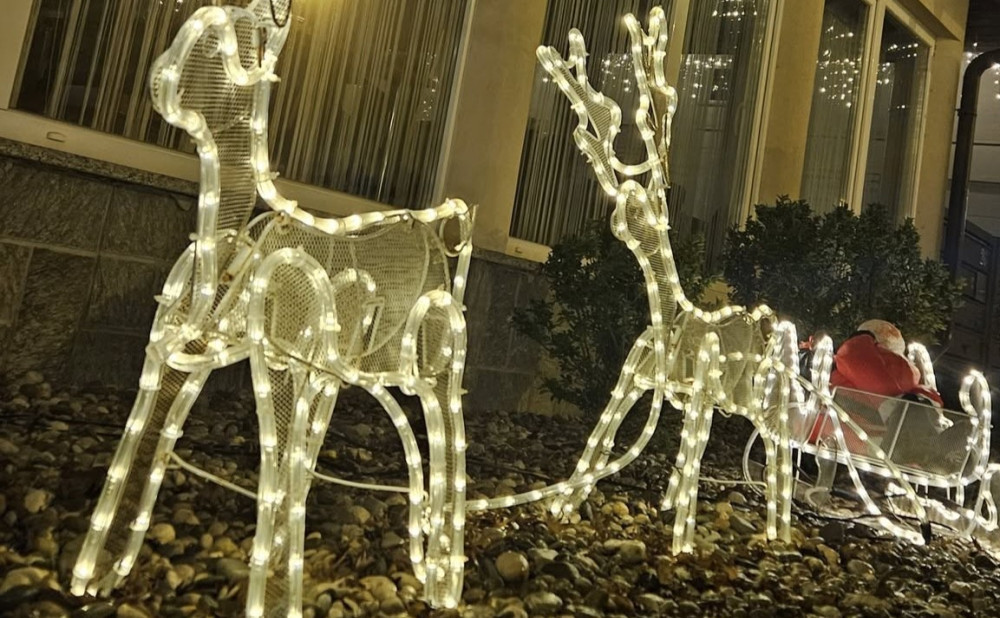 Advent u vinariji jeleni