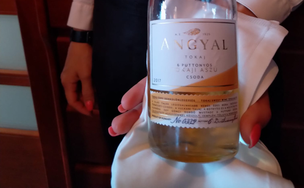 Tokai  Angyal
