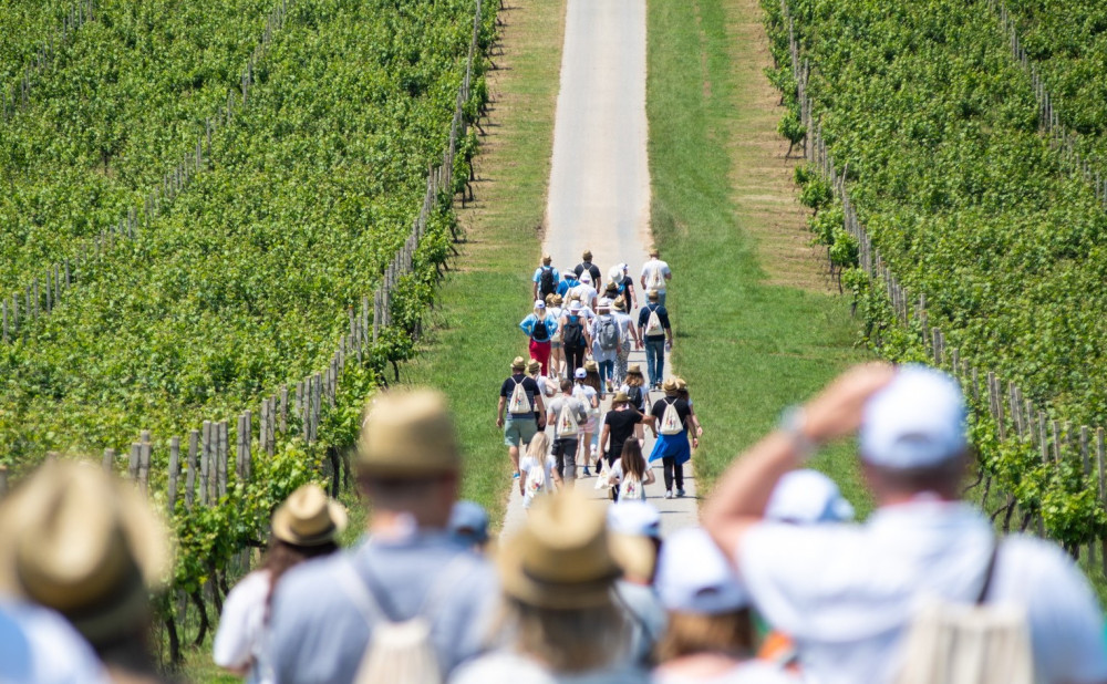 Baranja-Wine-and-Walk