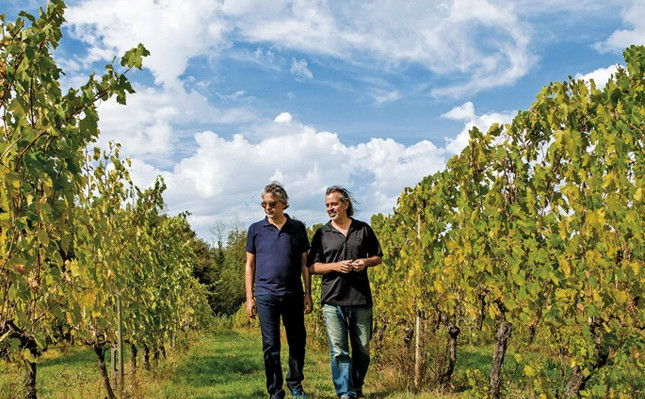 Andrea Bocelli i brat Alberto Bocelli u vinogradu