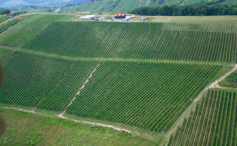 bolfan-vinograd-iz-zraka-1536x1026