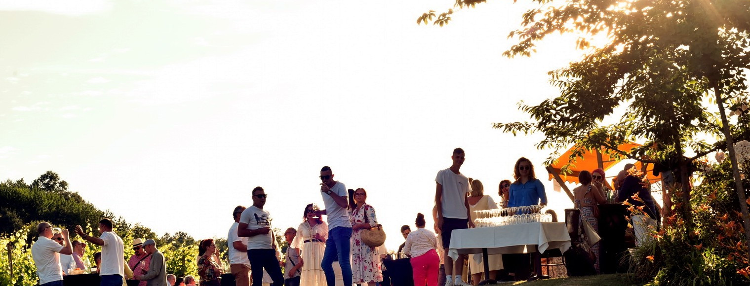 Zalazak u vinogradu 13. lipnja u Brodskom Stupniku! Uživajte u vinima, fotografirajte suton i osvojite nagrade