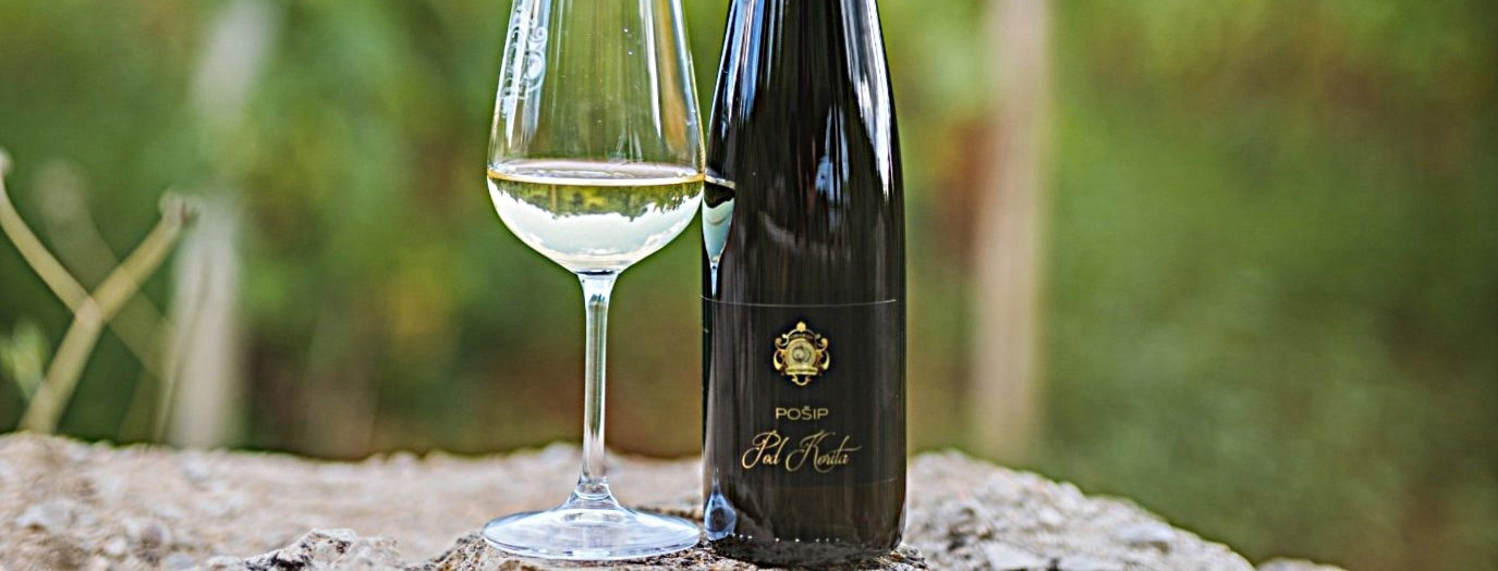 Glas naroda: Pošip Pod Korita 2024. vinarije Željko Pecotić Baran najbolje je bijelo vino po izboru čitatelja