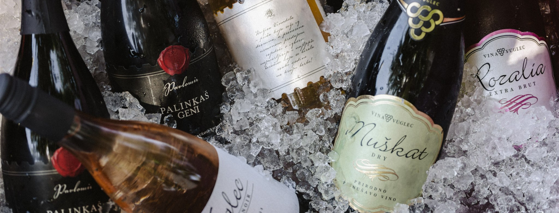 Pjenušavi doručak u vinogradu Pavlomir! Škampi, riba, pršuti, sirevi, praline i 'mjehurići' s Kvarnera te iz Istre i Zagorja